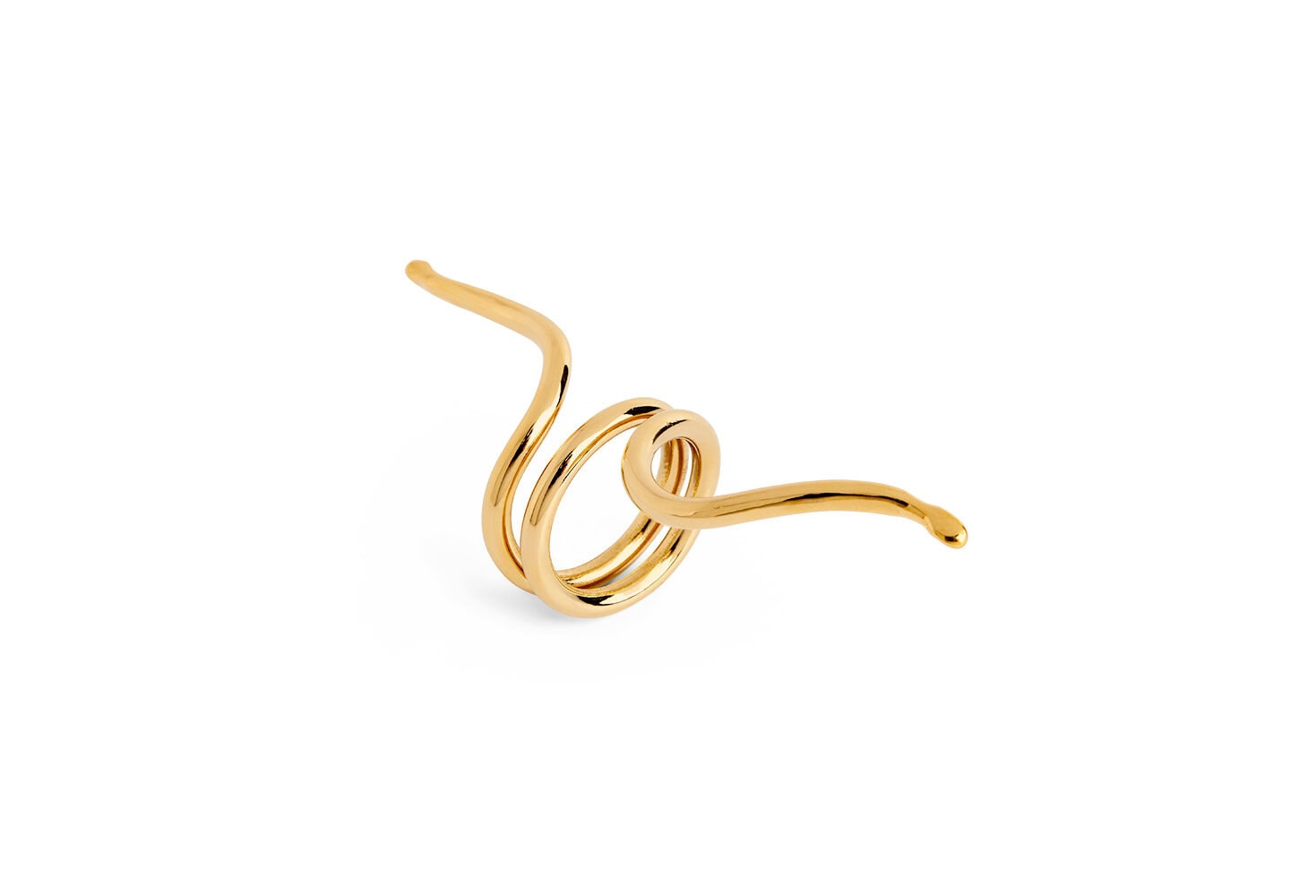 The Snake Ring