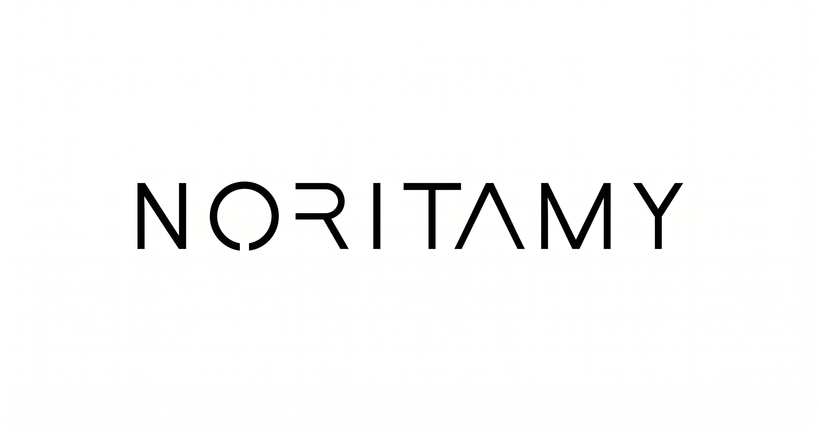 Noritamy | Handcrafted Sculptural Jewelry & Accessories