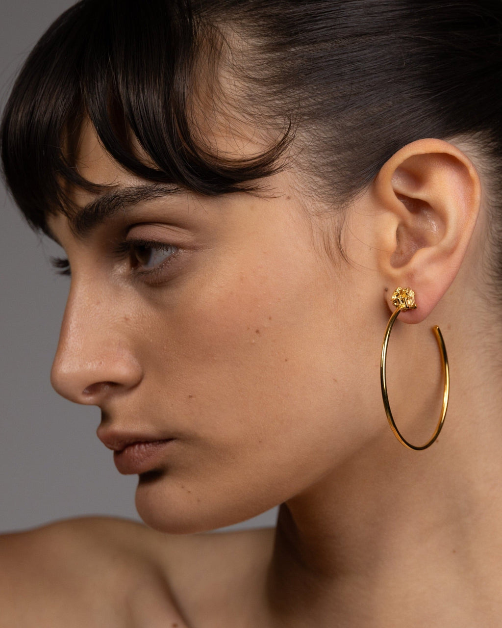 Bismuth Hoop Earrings
