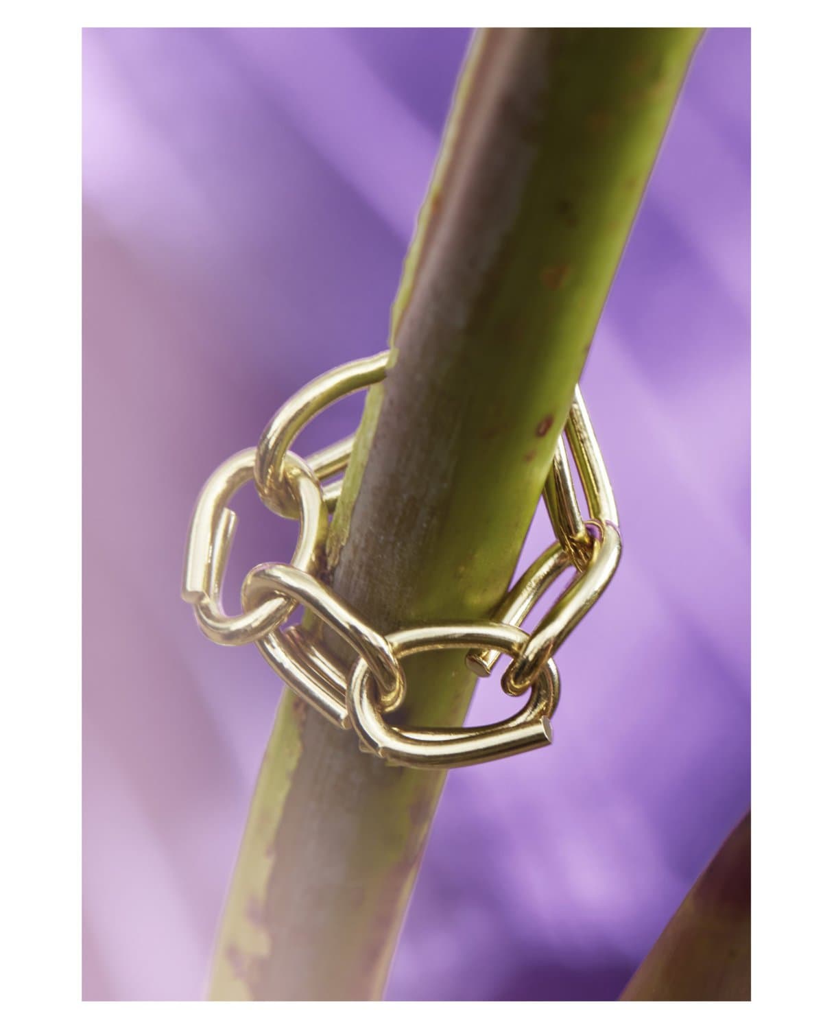 Flexible small links ring