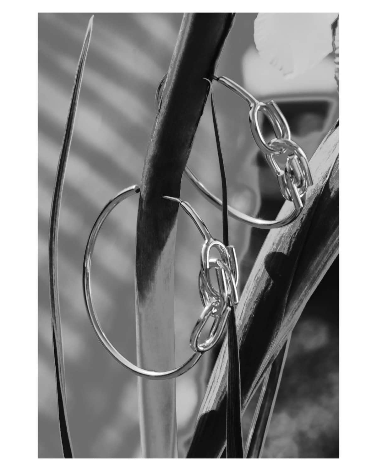Hoops & Links Earrings