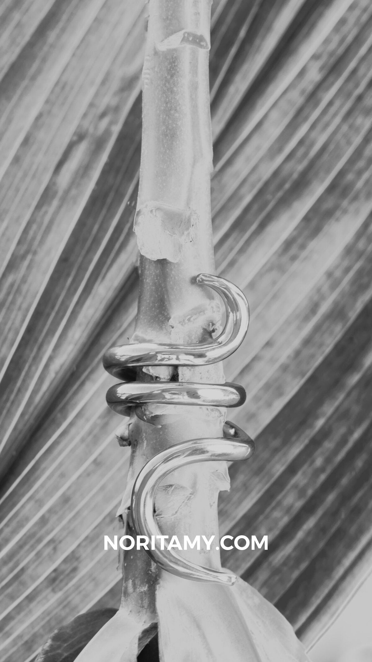 The Snake Ring