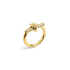 Linked Theory T-bar Ring