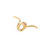 The Snake Ring